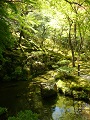 Kyoto Ginkakuji